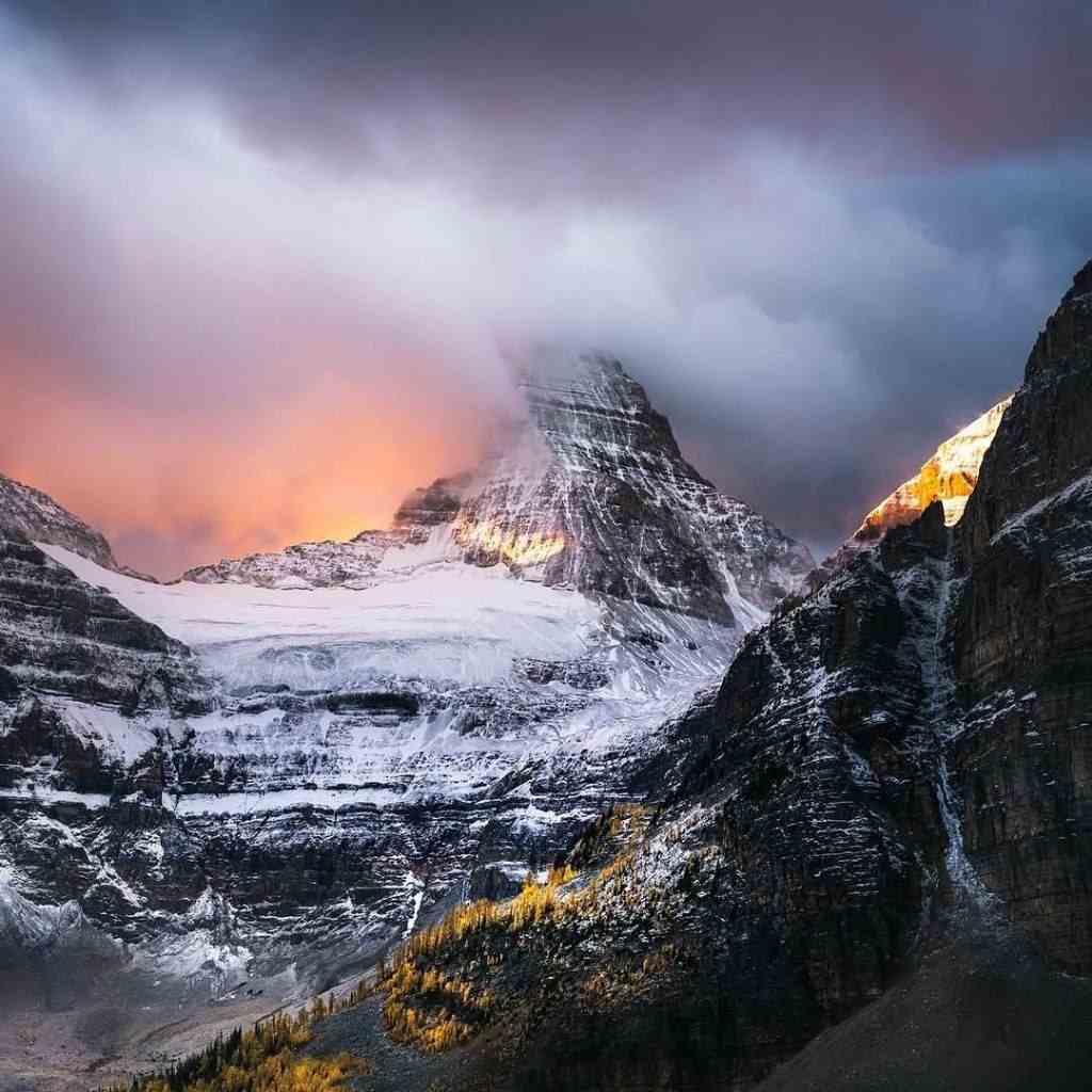 دانلود اهنگ میدونی جز تو یار ندارم هوای ترک دیار ندارم - هوش مصنوعی